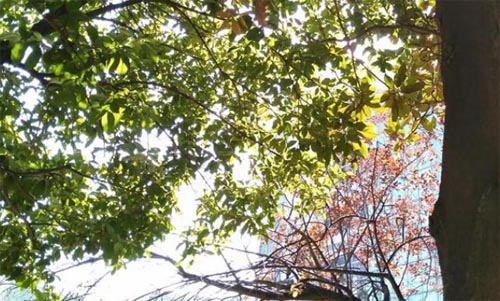 �������L��������߅������Է�����f