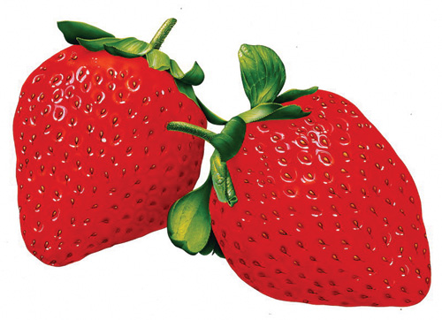 80�󣬌��εĲ�ݮһ����