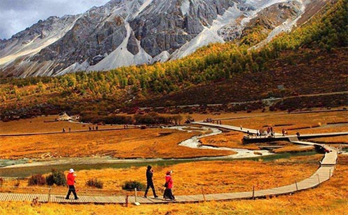 ʮ�˚q����ĳ��L