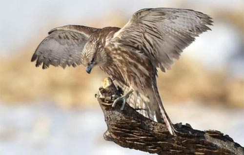 �n����ë��