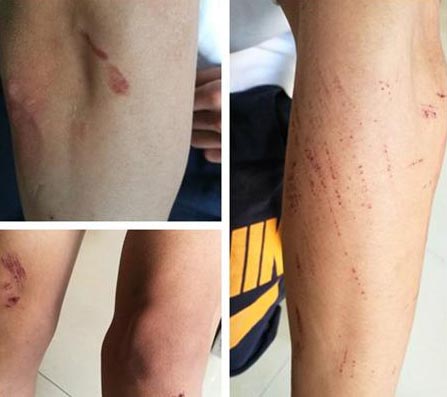 ��W����HУ�@�ȓ�������� ���W����̎��