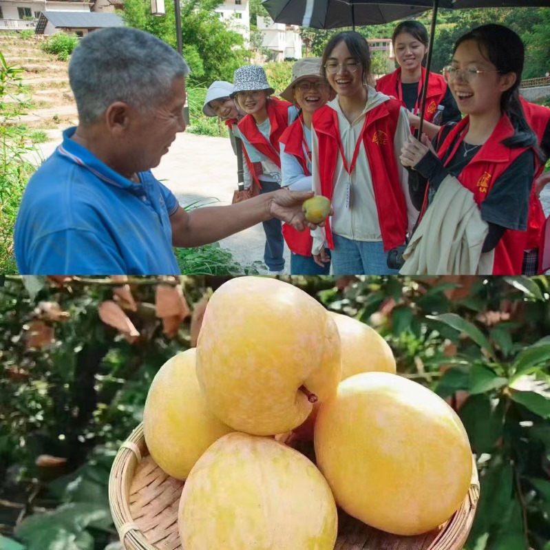 �V�|�����W�������l(xi��ng)���k�����ʣ�̤ʯ��ӡ�����_���С���