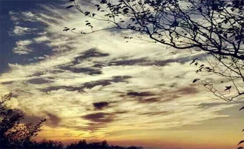 ǧ���Ժ�M�L(f��ng)��