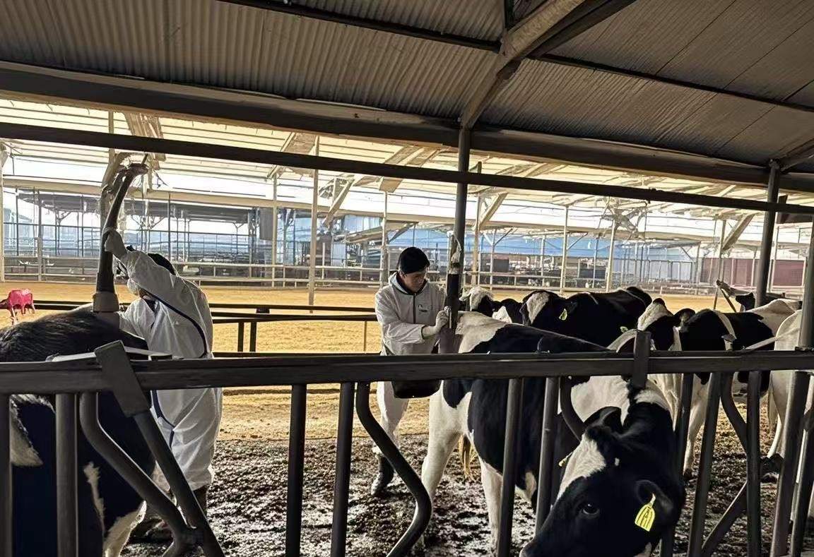 ��������z���F꠳ɹ��аl(f��)���ٙz�y�����Ͼ�ԇ�����Ƽ����r(n��ng)���o�����I(y��)��ȫ