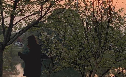 ����ҵ�С�����]�����ǵ�����һ������