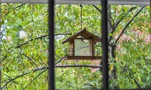 �đ��wՏ�c���⣬���M(j��n)����֮��(n��i)