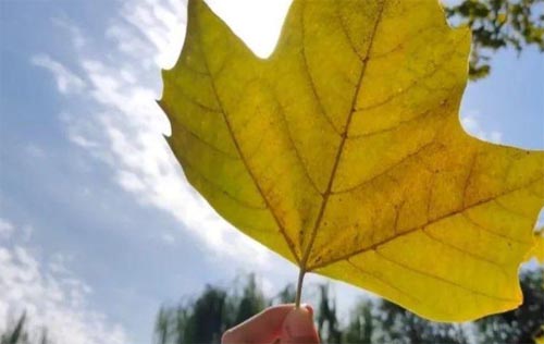 �¾��H���W(xu��)Ժ