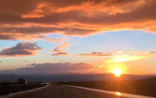 Ը��v��������w����������