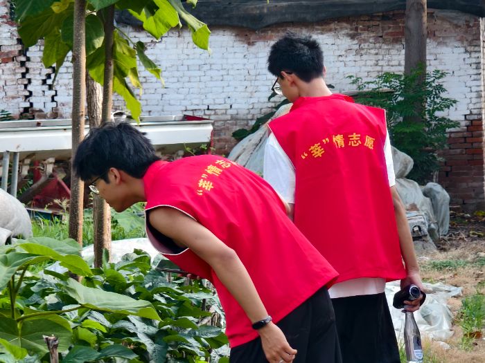 ��(chu��ng)�w�Ƽ����`�F�ڶżҴ��_չ����Ѳ�z�{(di��o)�� �Ƽ��������N�P��