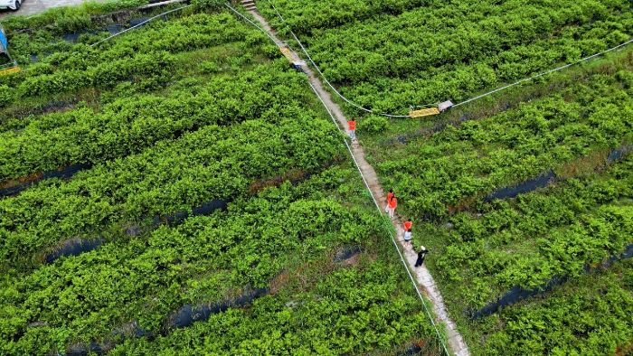 ��ɫ�a(ch��n)�I(y��)�x���l(xi��ng)�����d����a�����¸�·��