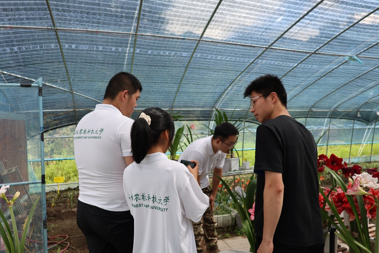 ���귵�l���I�����l�����ܡ��������r�ֿƼ���W�W�Ӹ������ی��{�С����r�ˡ����`