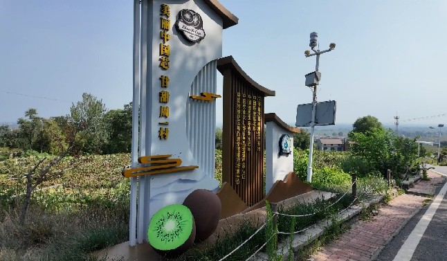 �P���L�����d�����J�Ҵ����l(xi��ng)���d