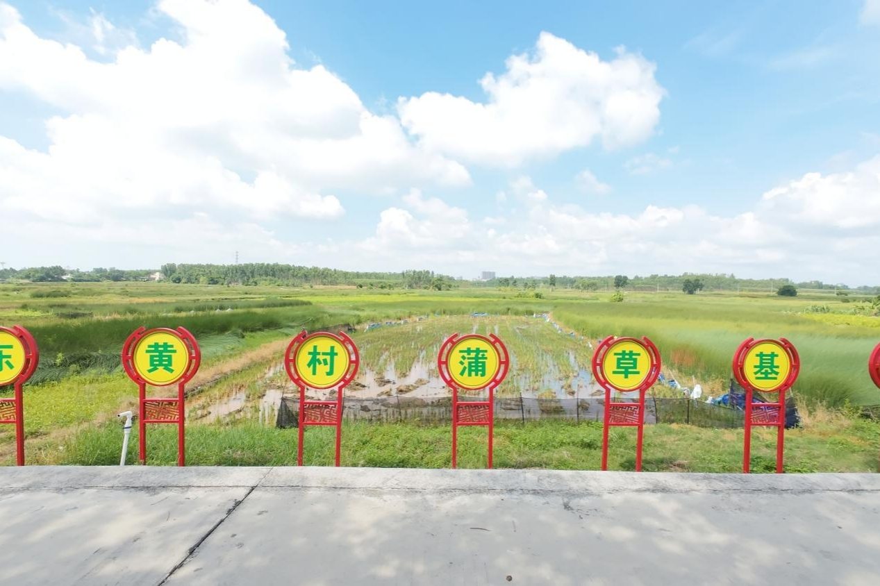 տ�ƌW�ӡ������l�����Ѳ��������l�s�|�S