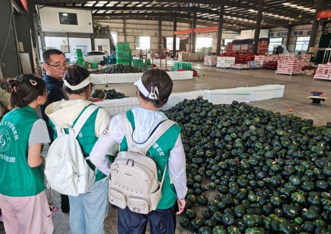 ɽ�|�W�������l��̽·���l���̎�����ք����d�r�Q������