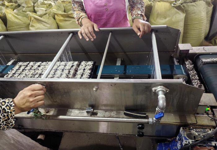 ɽ�|�W(xu��)�������l(xi��ng)��̽������������أ��Ƽ��x���l(xi��ng)�����d�D��