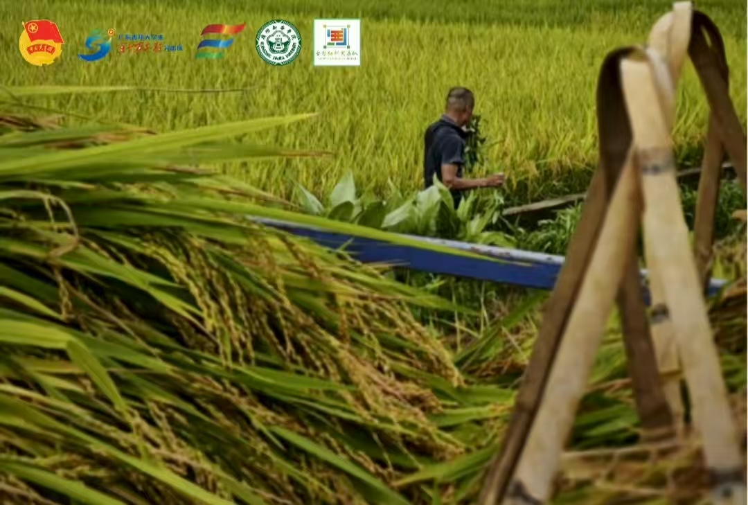 ���M(j��n)����ɽ�壬̽�����g����耳ס�