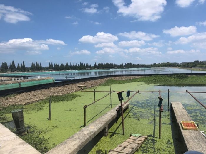 ��з����ˮ�����`�F�����ߴ���^��̽�L������з�I�����ֻ��Bֳ