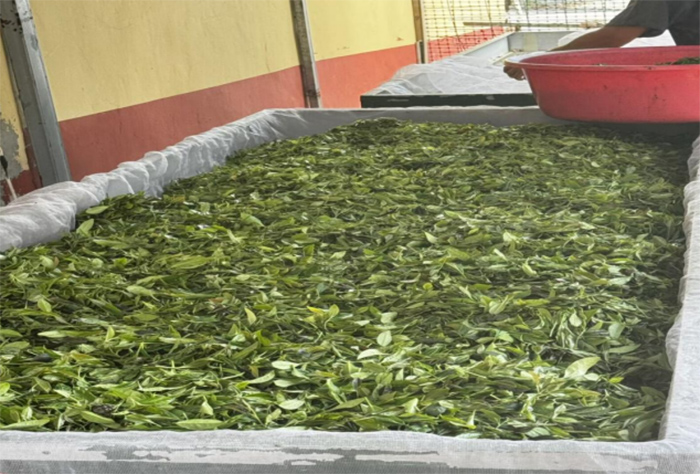 ���l̽��֮�ã�������`�еĮa�I�c�Ļ�����