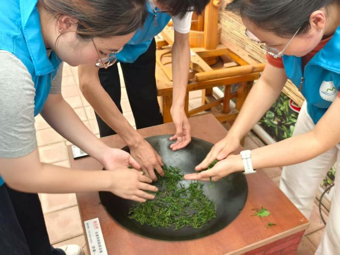 ��������ഺ���