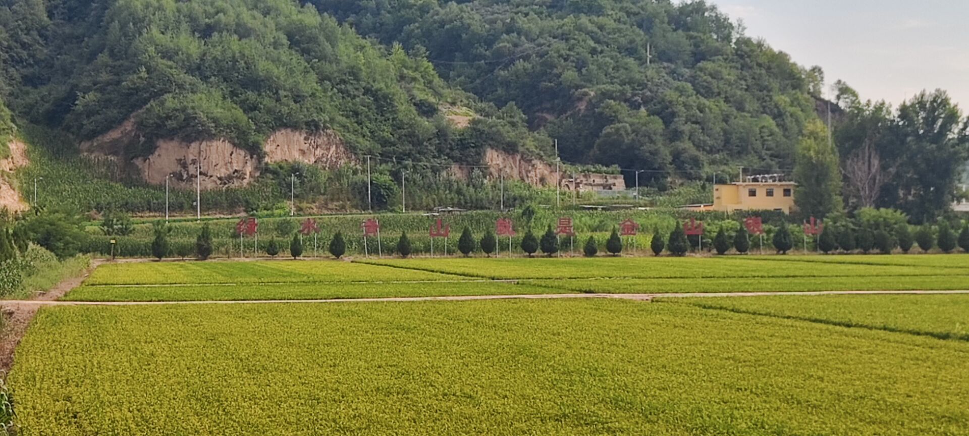 �Ҍ������{���С����Gɫ�������L����������B�����®���