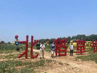 �����������{���У��ն�׃ ���Ȍ�������@���@ϲ��