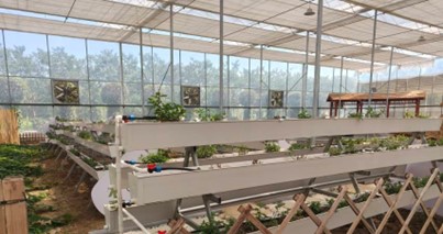 ��ؔ�W(xu��)������������`�����ഺ���`̽���r(n��ng)·���Ƽ��x���L���d�D