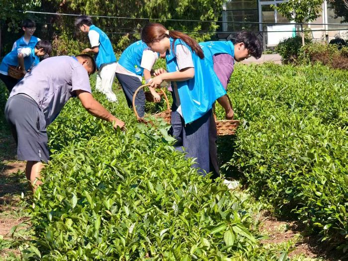 �����r(n��ng)�������չ٣���Ԓ���dδ��