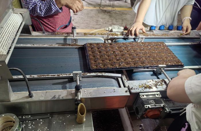 ɽ�|�W(xu��)�������l(xi��ng)����a����ȫ���̣�̽���F(xi��n)���r(n��ng)�I(y��)Դ�^�Ƽ�