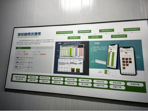 ɽ�|�W(xu��)�������l(xi��ng)��̽·���l(xi��ng)���̎����(sh��)�ք�(d��ng)���d�r(n��ng)�Q(m��o)