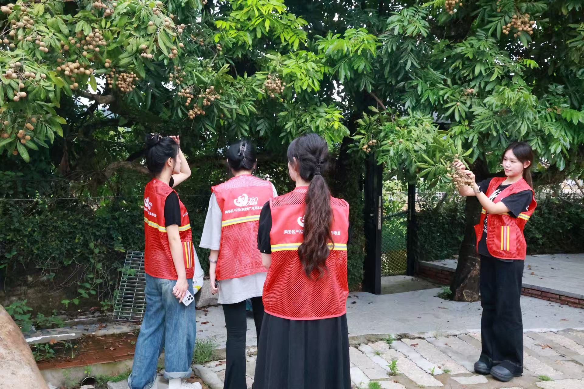 �ഺ�������z���У���W��̽���𱱃�����Ļ��»���