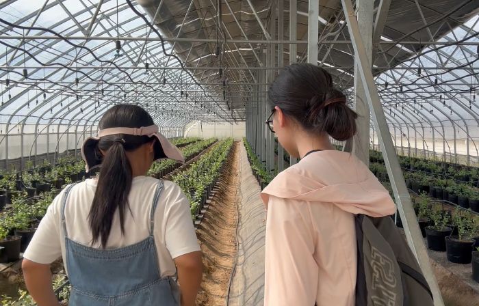 �����r��̽�أ��F���r�I��������������