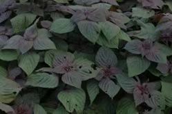 ��a���K���¸��������x�ܹ���l�����d�D�������𺽌W�������l