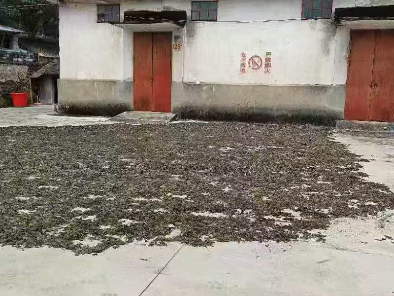 ���K�h��a�I�d �ഺ�x���l�����������ֺ�Ժ�W�������l��������l�����d���`