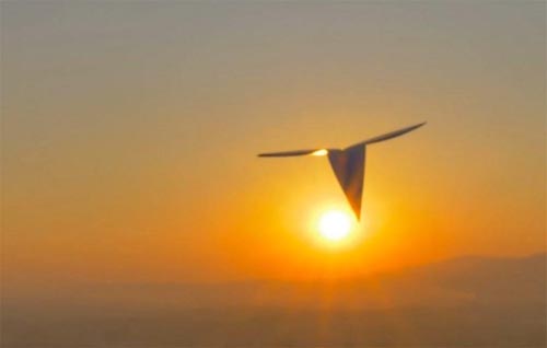 ���������(m��ng)��֮���У��A���(gu��)��(f��)�d֮Ը��