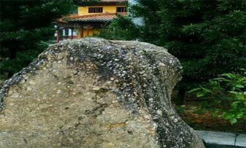 ʯ˪����������