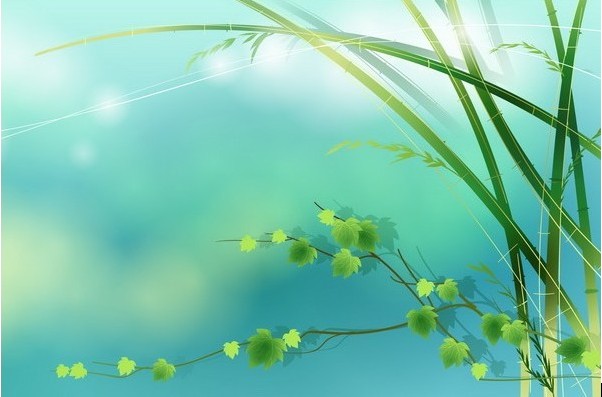 ���_�º�ǧ��ѩ