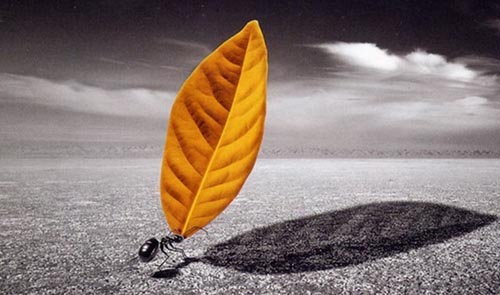 �Ұl�F��Λρ������